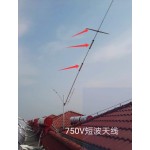 KB2 KB 750V ANTENNA CORNUTA 6-10-15-20-40 METRI 2KW PEP BALUN INCLUSO